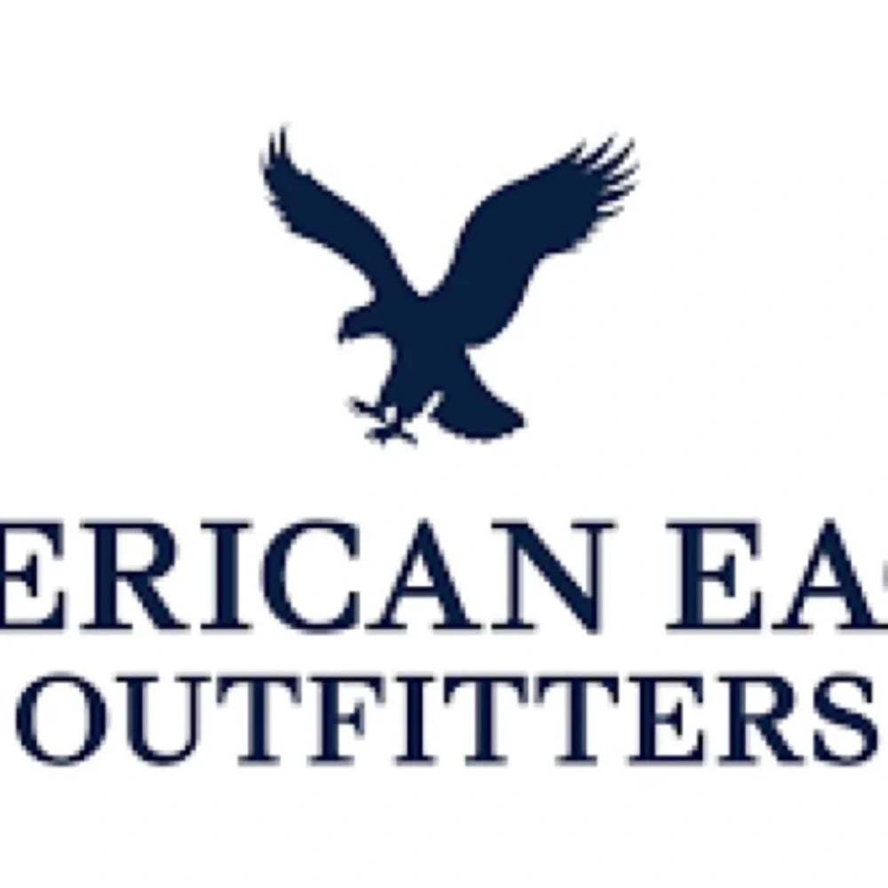 AE Stretch Low-Rise Baggy Wide-Leg Jeans • Light Bright Indigo • Size 4R BNWT - Picture 3 of 3